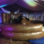 Rodeo Bull Rodeo Bull