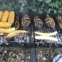 BBQ FISH & GRILLED CORN/PLANTAIN BBQ FISH & GRILLED CORN/PLANTAIN