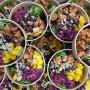 Chipotle Chicken & Mango Salads Chipotle Chicken & Mango Salads