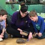 Teaching Talons (The Animal Ambassadors) 