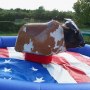 Rodeo bull hire