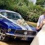 1967 Mustang 1967 Mustang