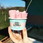Mixed Berry Rolls plus gorgeous sunshine, equal yummy perfection! Mixed Berry Rolls plus gorgeous sunshine, equal yummy perfection!
