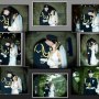 Wedding Wedding