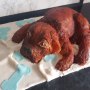 Doggy cake Doggy cake