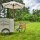 Vintage Trike Vintage Trike