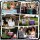 Profile Image Profile Image
