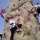 Climbing Wall Over 16 different routed climbs