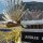 Jubilee Fireworks Ltd