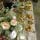 Two Hoots Barn Wedding Fair samples
