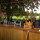 Rustic Vintage Bar Rustic Vintage Bar