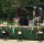 Our beautiful larger bar setup & our famous saddle stools Our beautiful larger bar setup & our famous saddle stools