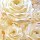 Exquisite Paper Flower Wall Exquisite Paper Flower Wall