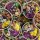 Chipotle Chicken & Mango Salads Chipotle Chicken & Mango Salads