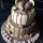 Cakes for all occssions Cakes for all occssions