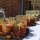 Reception drinks and drinks parties welcomed. Prestige Bars and Catering Ltd