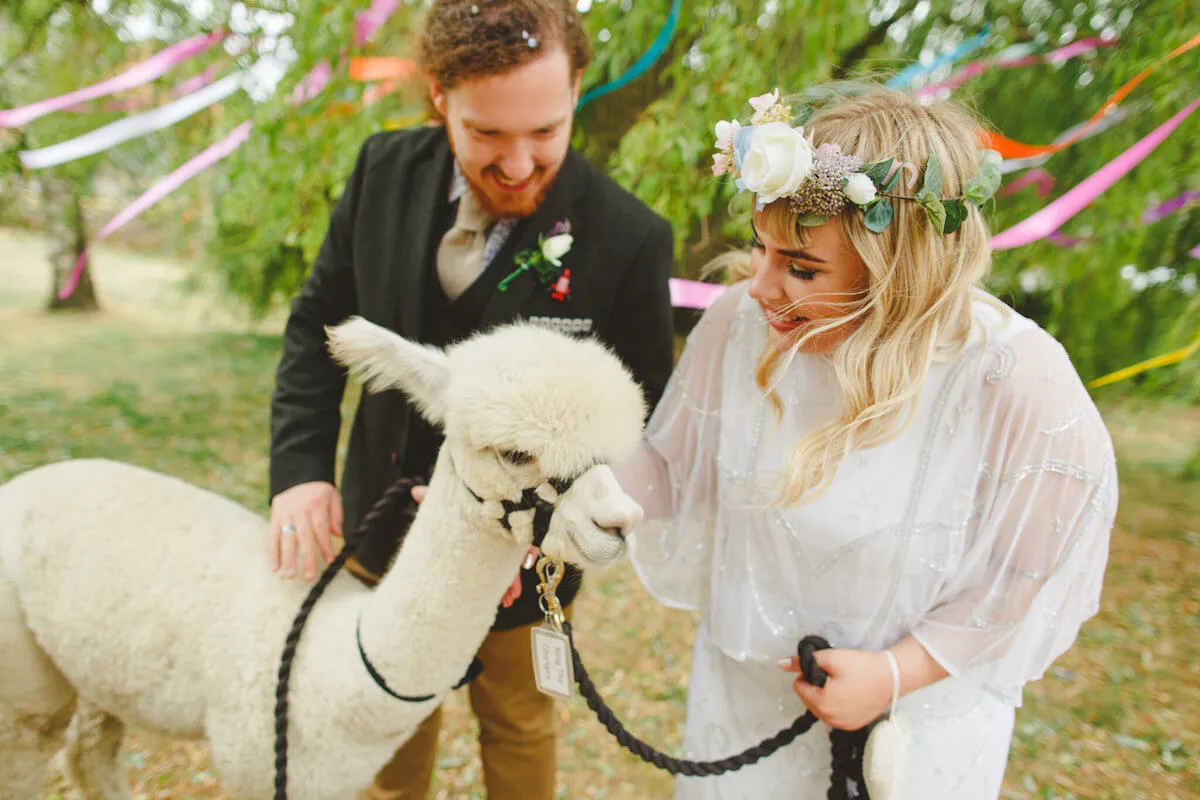 Wedding guests stroking a llama at an outdoor wedding. Image courtesy of Camera Hannah Photography