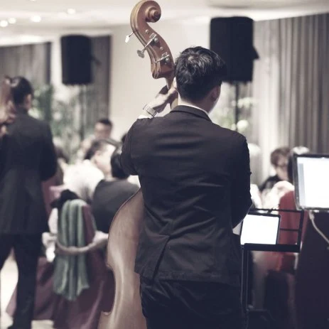 Image of the back of a man wearing a tuxedo and playing the Cello