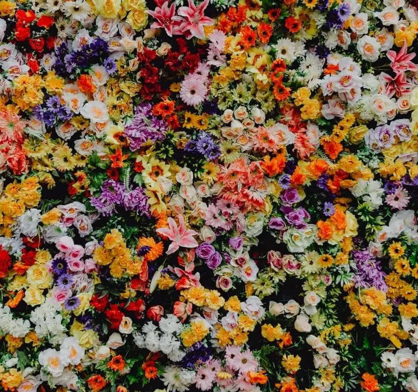 Flower wall hire is perfect as a backdrop for photos or just to add some beautiful colour and life to your event.